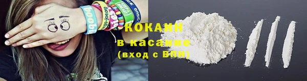 спайс Алзамай