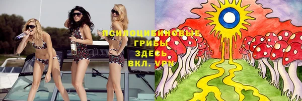 спайс Алзамай