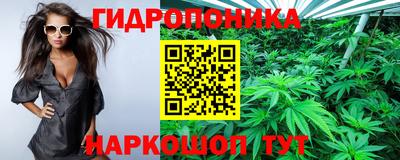 гидропоника Севастополь