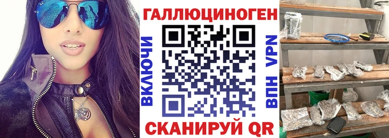 Галлюциногенные грибы Psilocybe  Полысаево 